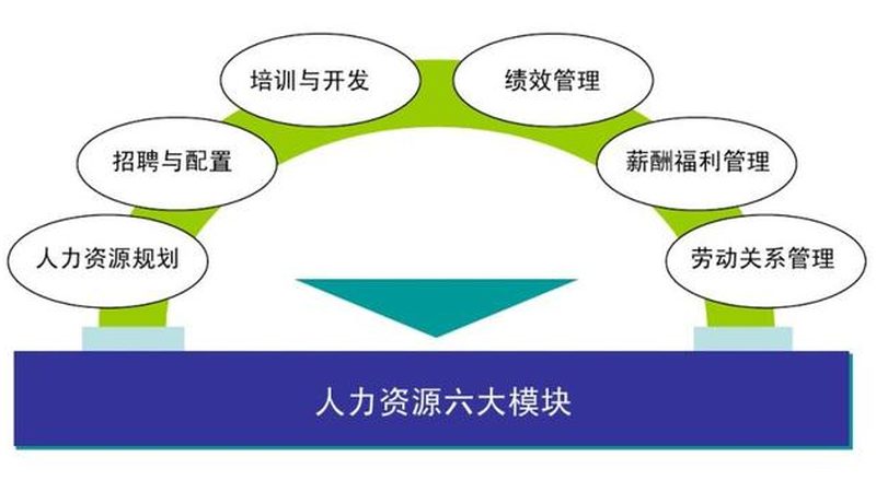 IT外包人员招聘流程：合规与效率的平衡之道**